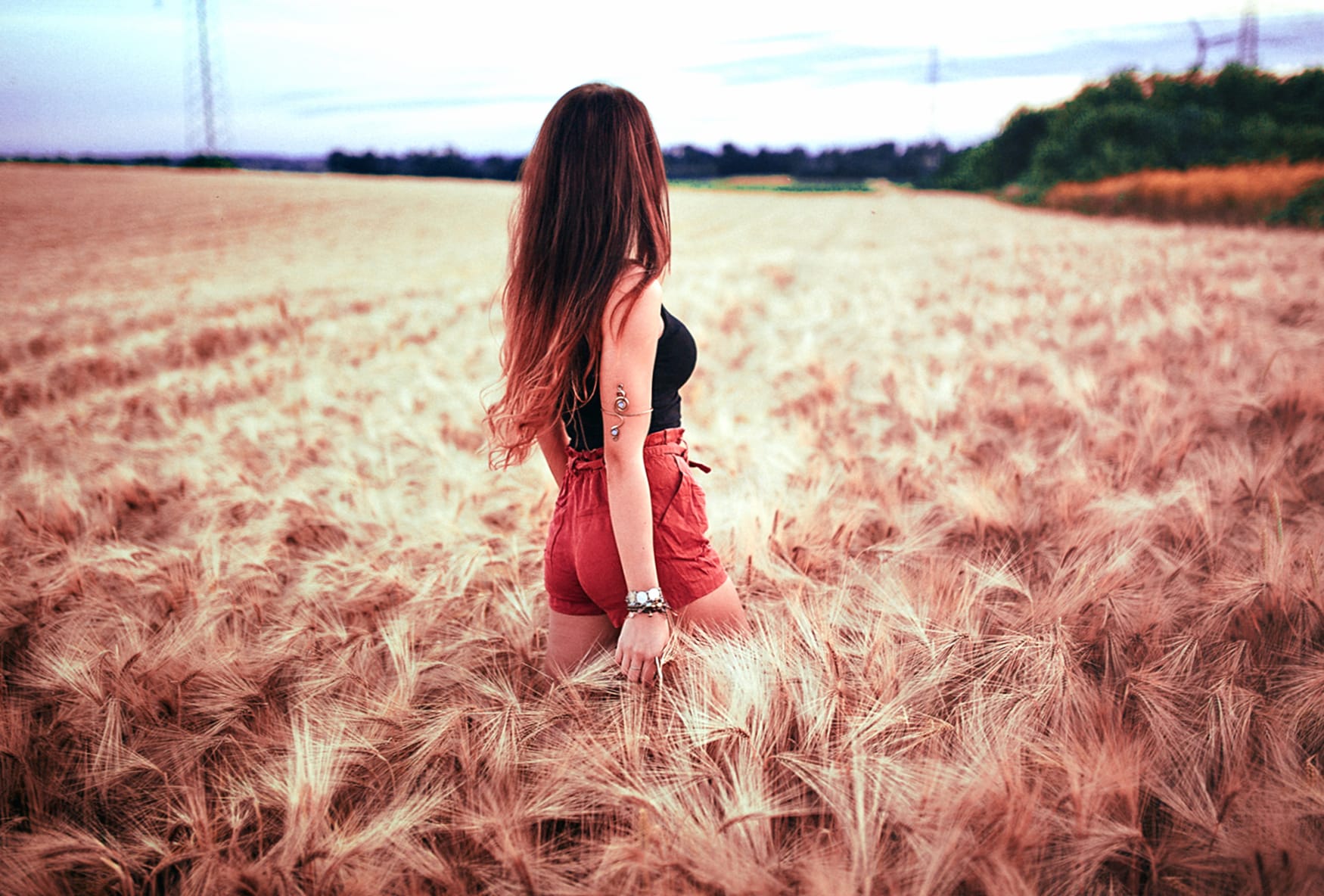 Woman in Wheat Field - wallpapers HD quality