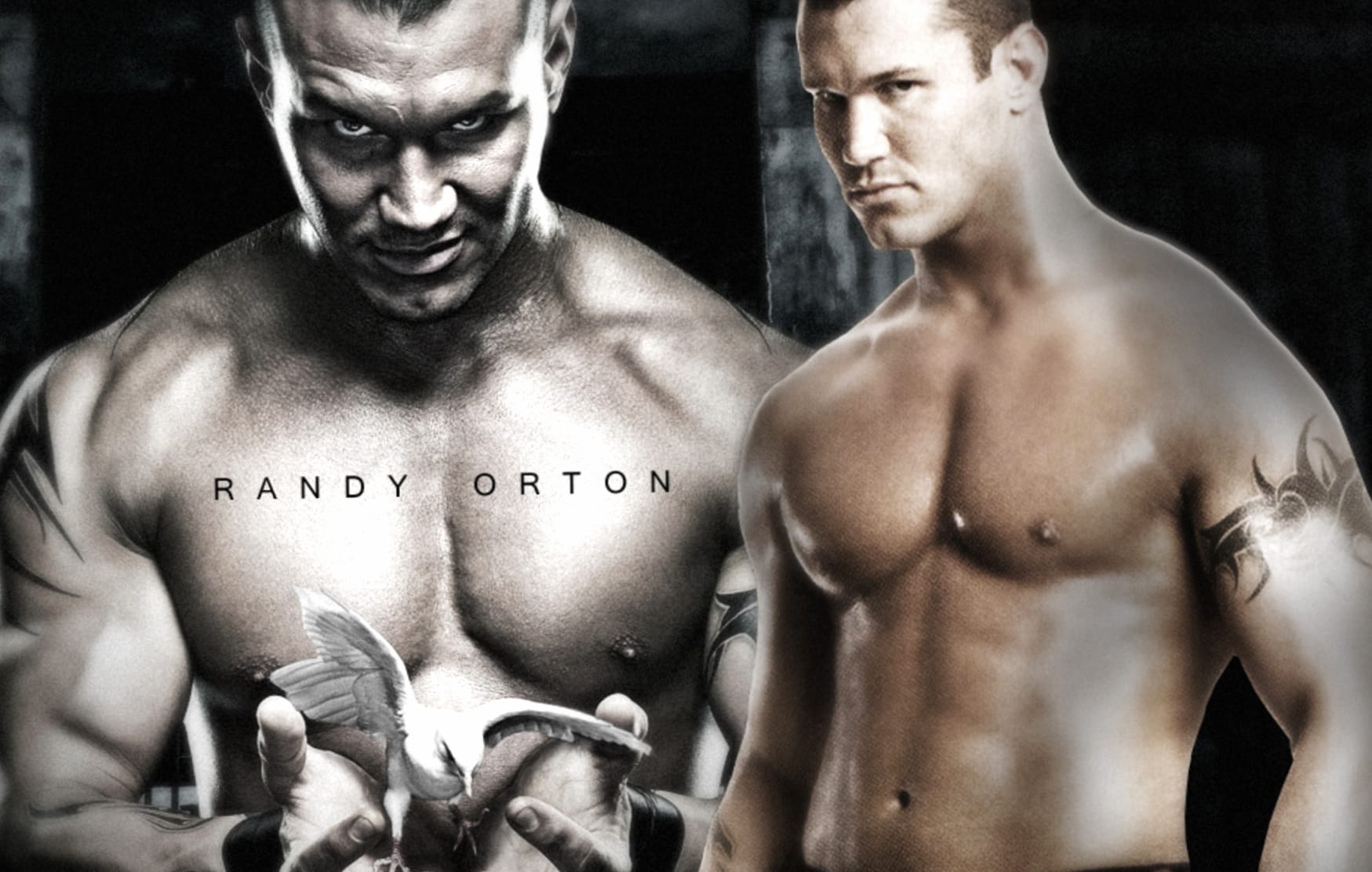 WWE Sports wallpapers HD WWE Sports wallpapers HD quality