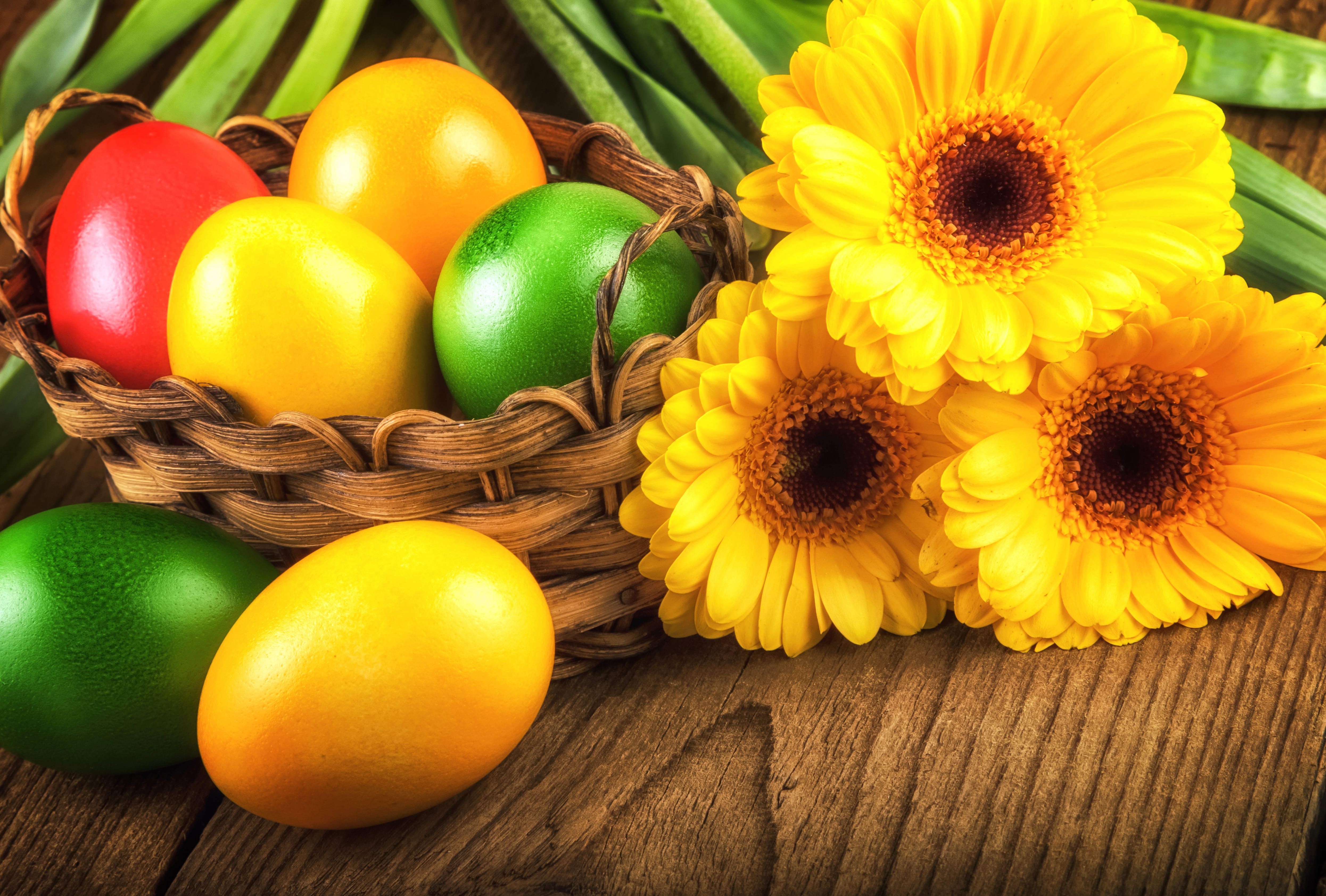 Yellow Flower Flower Gerbera Egg Easter Egg Basket Holiday Easter wallpapers HD quality