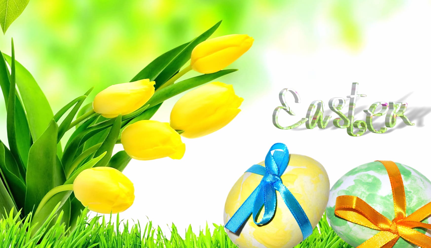 Yellow Flower Ribbon Easter Egg Egg Close-up Tulip Holiday Easter at 1280 x 720 HD size wallpapers HD quality