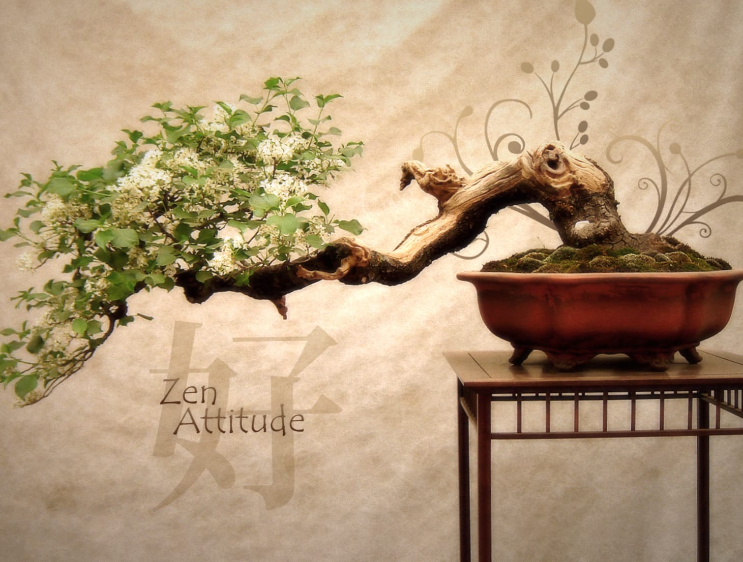 Zen Attitude Buddhist wallpapers HD quality