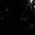 Dark Skull wallpaper
