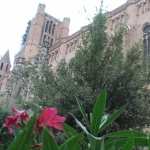 Religious Albi Cathedral free