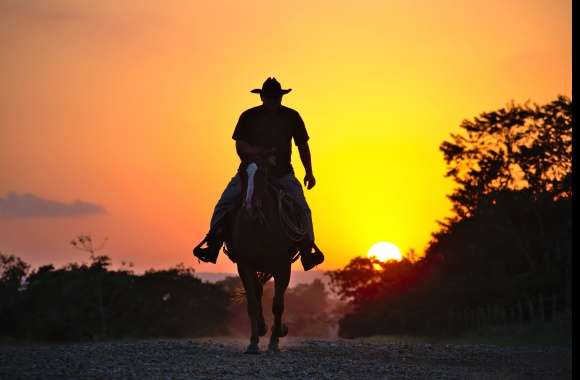 4K Ultra HD Cowboy Sunset Silhouette