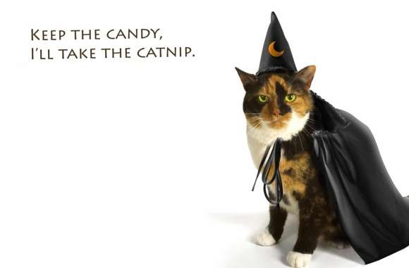 ##Spooky Cat Magic Halloween