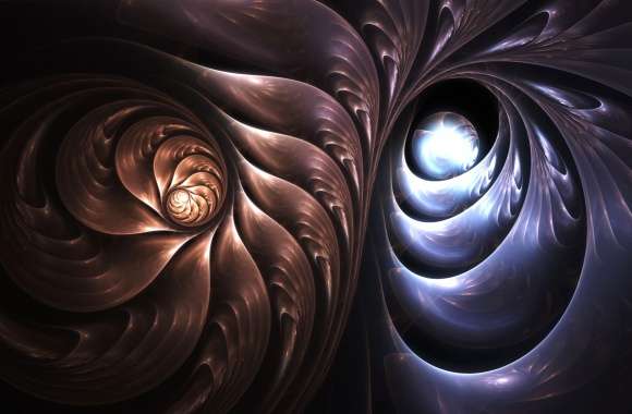 Abstract Shell Spiral - Artistic wallpapers hd quality