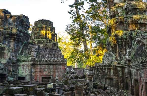 Angkor Wat Sacred Serenity in