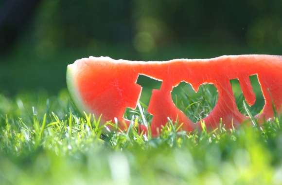 Artistic Love Melon