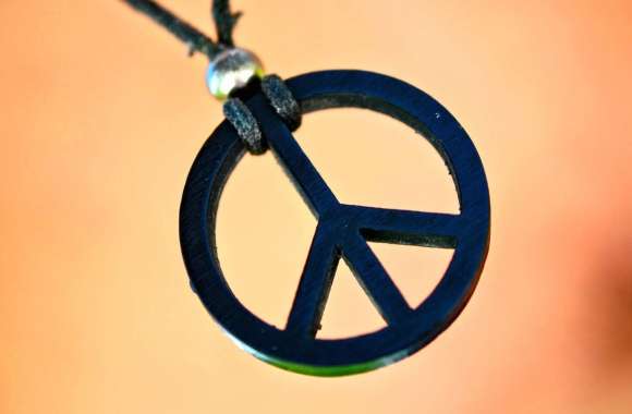 Artistic Peace Sign Photography