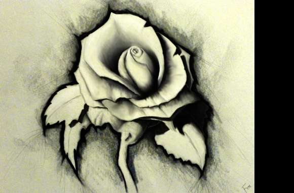 Artistic Rose Drawing -