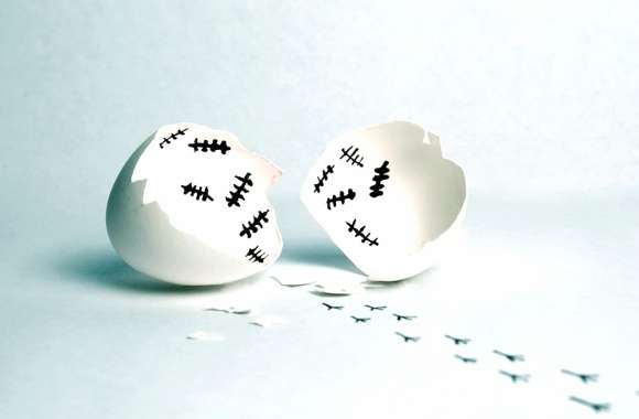 Artistic The Beauty of a Cracked Egg wallpapers hd quality