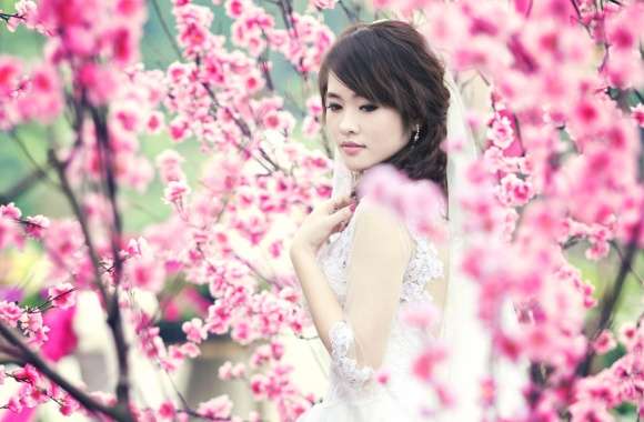 Asian Beauty Among Blossoms