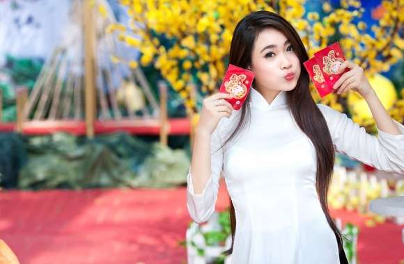 Asian Woman in Festive Setting - wallpapers hd quality