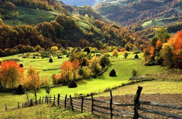 Autumn Field Landscape