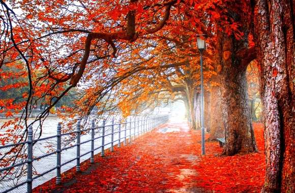 Autumn Park Pathway