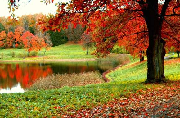 Autumn Park Pond