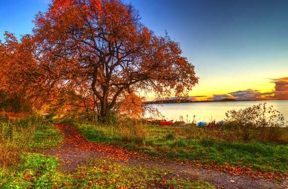 Autumn Serenity in Vibrant HDR Photography