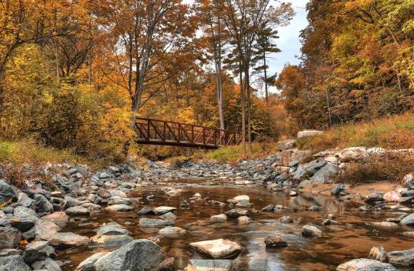 Autumn Serenity of a Bridge Over a Tranquil Stream wallpapers hd quality