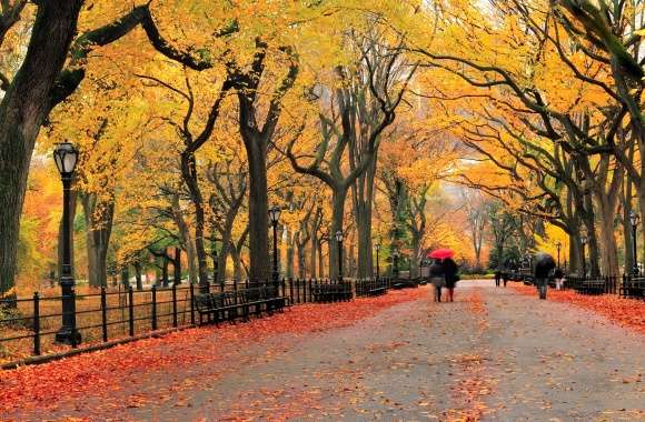 Autumn Stroll in