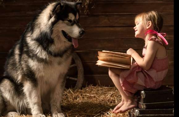 Barn Dog Little Girl Photography Child wallpapers hd quality