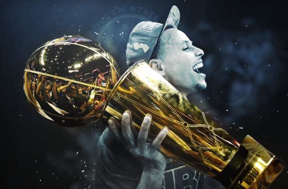 Basketball Champion HD Desktop Wallpaper wallpapers hd quality