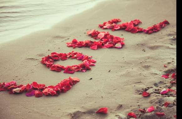 Beach Sand Petal Photography Love