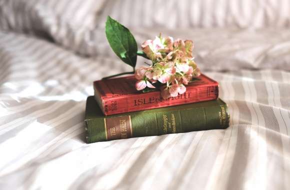 Bed Flower Book Photography Still Life wallpapers hd quality