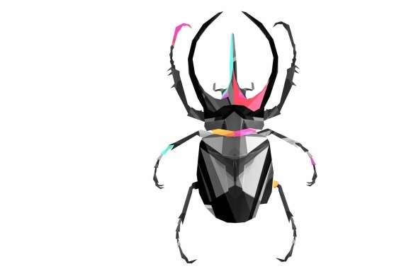 Beetle Animal Artistic wallpapers hd quality