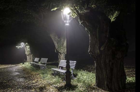 Bench Lamp Post Night Photography Park