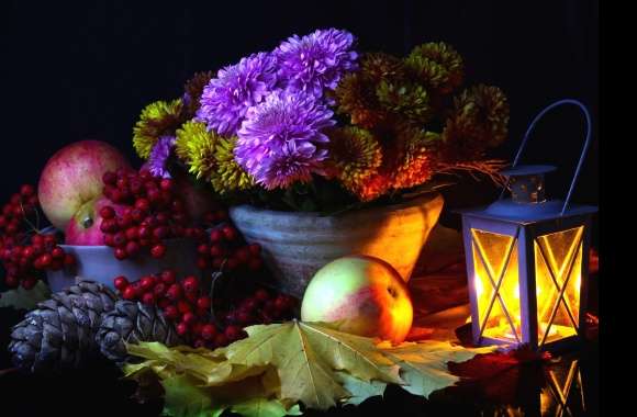 Berry Lantern Bowl Apple Pine Cone Leaf Chrysanthemum Light Photography Still Life