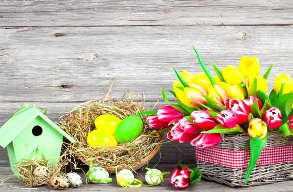 Bird House Nest Colorful Colors Tulip Egg Easter Egg Spring Still Life Holiday Easter