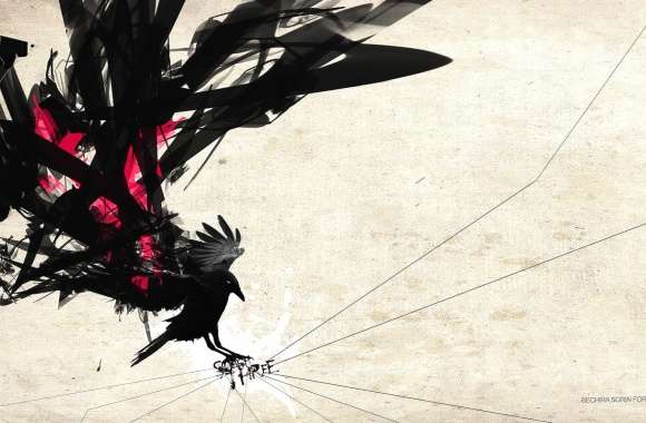 Bird Raven Crow Abstract Artistic wallpapers hd quality