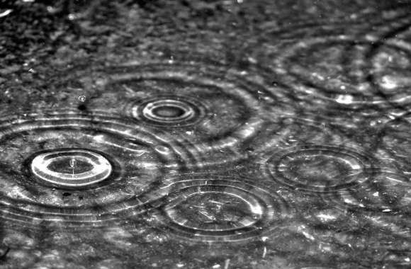 Black & White Rain Photography wallpapers hd quality