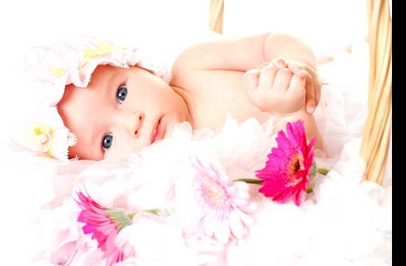 Blue Eyes Pink Flower Cute Photography Baby