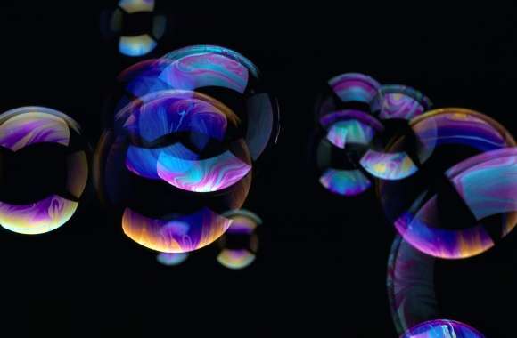 Blue Purple Photography Bubble