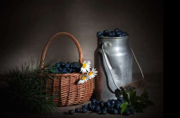 Blueberry Photography Still Life wallpapers hd quality