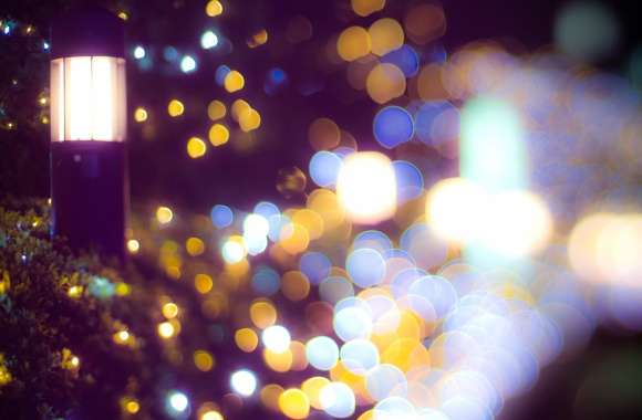 Bokeh Night Photography Light