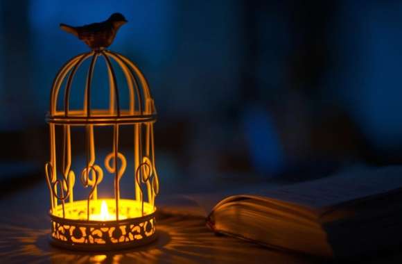 Book Bird Photography Candle Wallpaper wallpapers hd quality