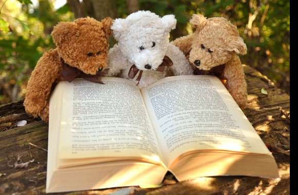 Book Stuffed Animal Teddy Bear Photography Still Life