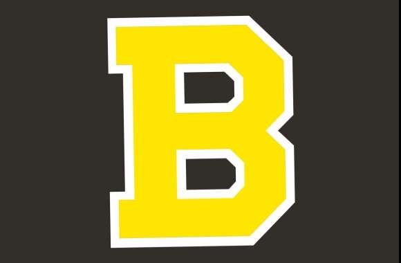 Boston Bruins Sports wallpapers hd quality