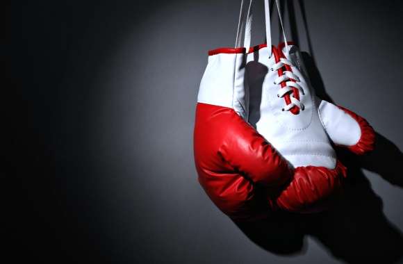 Boxing Gloves in Stunning