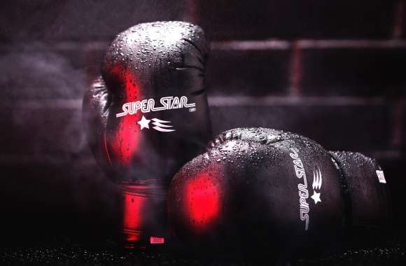 Boxing Gloves Ready for Action wallpapers hd quality