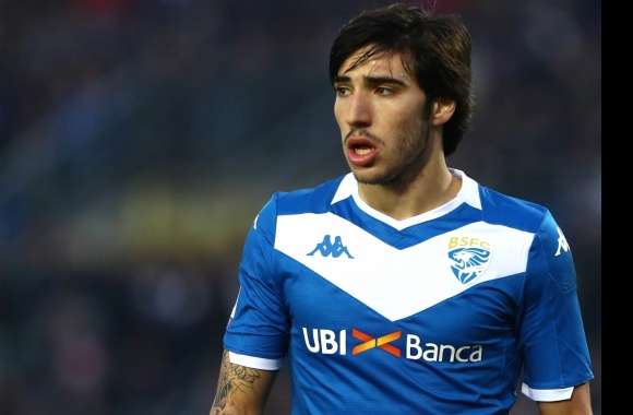 Brescia Calcio Sandro Tonali Sports