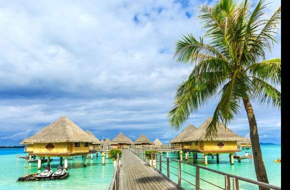 Bungalow Palm Tree Tropics Bora Bora French Polynesia Photography Holiday