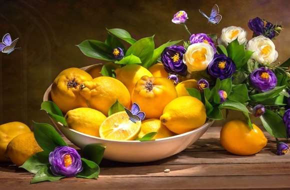 Butterfly Lemon Bowl Flower Fruit Photography Still Life