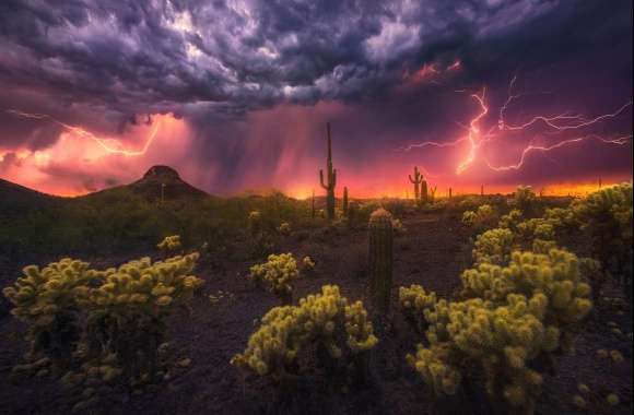 Cactus Desert Photography Lightning Wallpaper