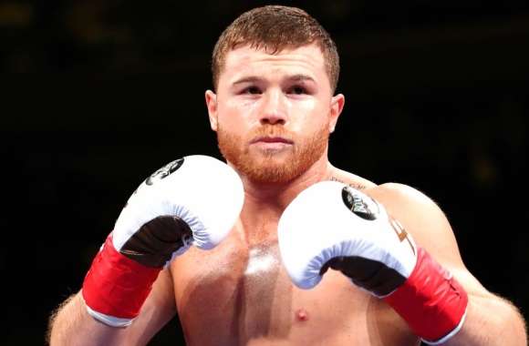 Canelo Álvarez Boxing Champion