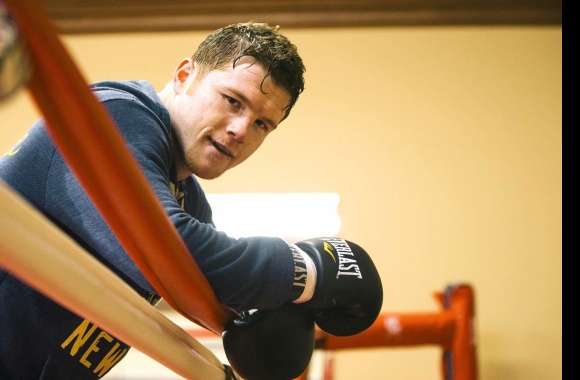 Canelo Álvarez Focus in the Ring