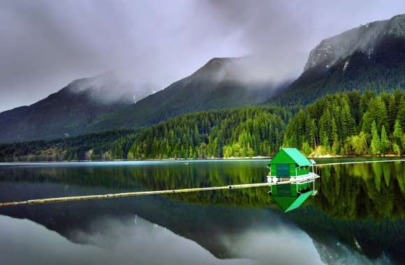 Capilano Lake Serenity A HD Forest Landscape