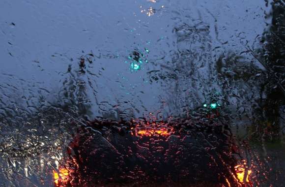 Captivating Moments in Rain Photography